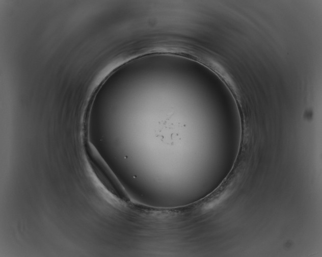 X0000093580803200710221502