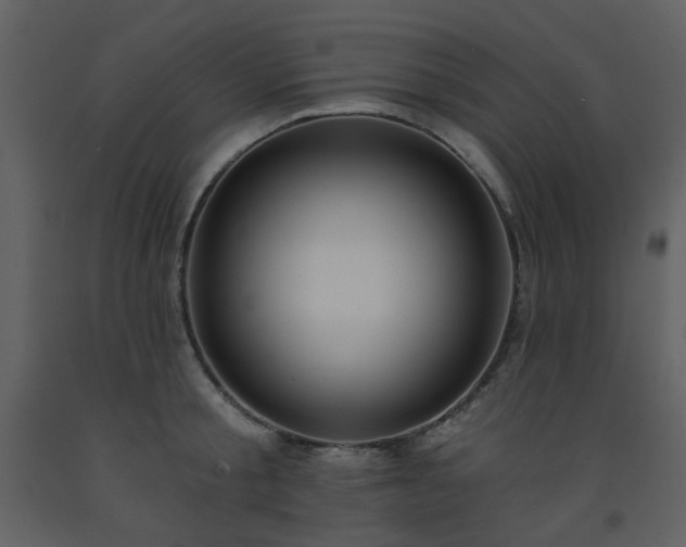 X0000093580805200710221502