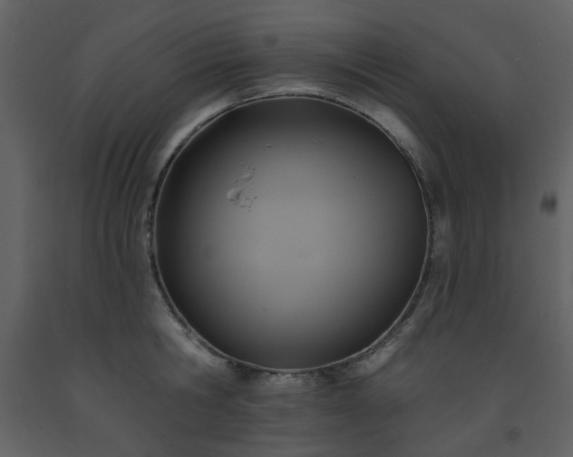 X0000093580806200710221502