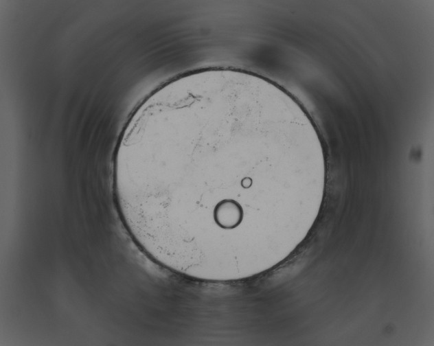 X0000093580807200710221502