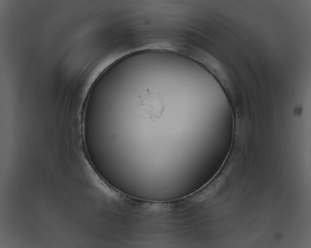 X0000093580808200710221502