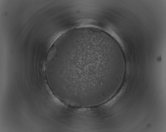X0000093580809200710221502