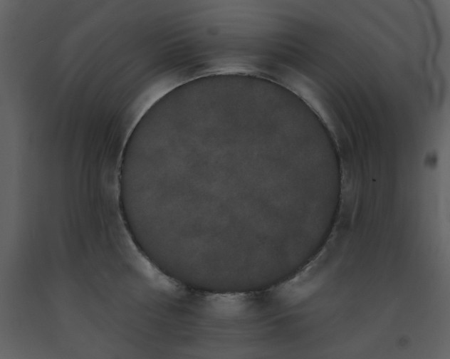X0000093580810200710221502