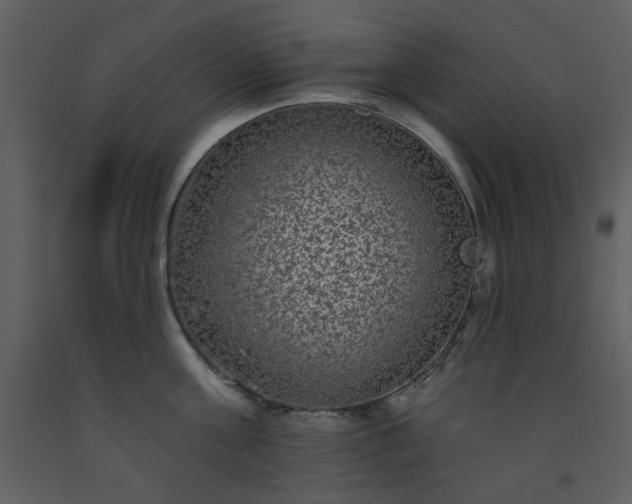 X0000093580811200710221502