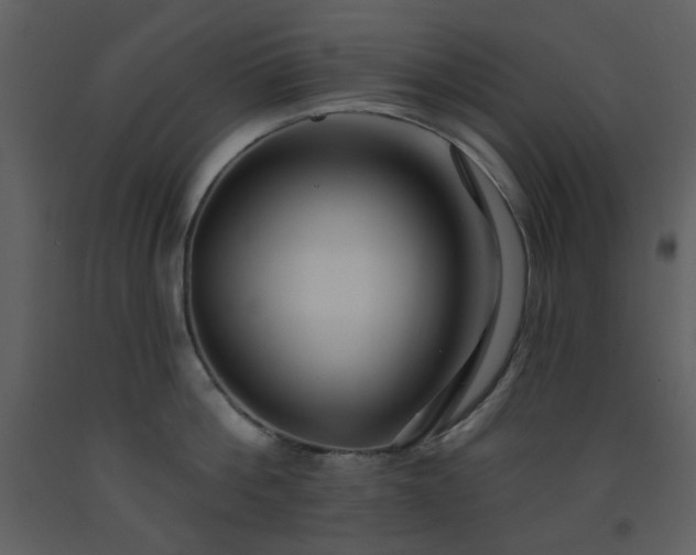 X0000093580812200710221502