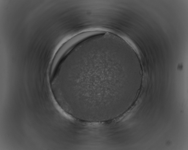 X0000093580813200710221502