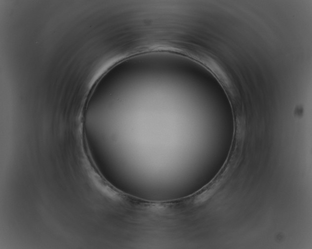 X0000093580814200710221502