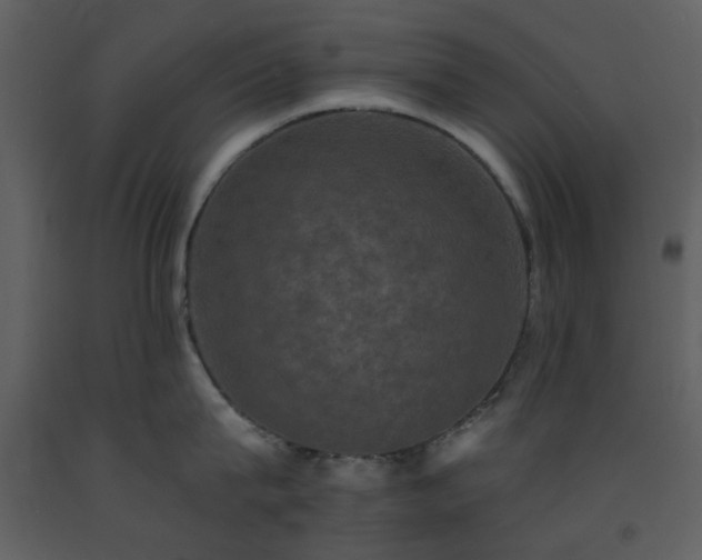 X0000093580815200710221502