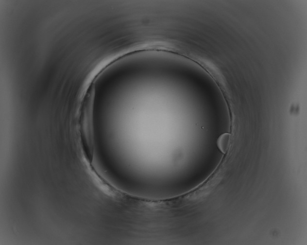 X0000093580816200710221502