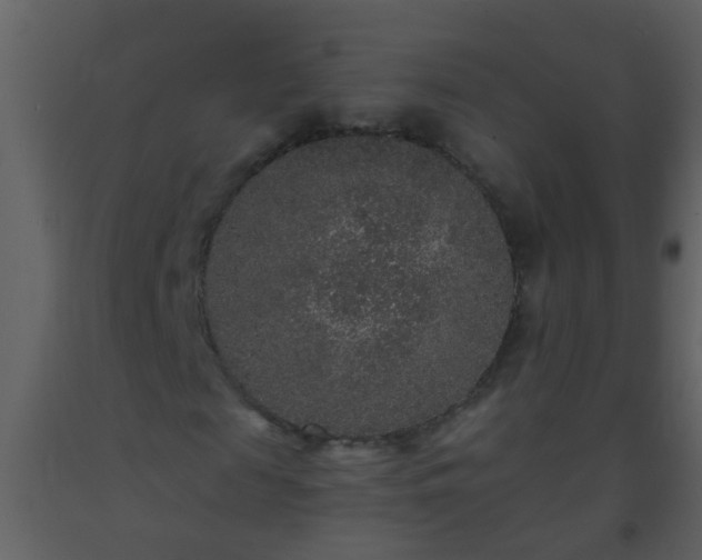 X0000093580817200710221501
