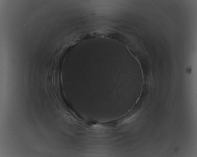 X0000093580818200710221501