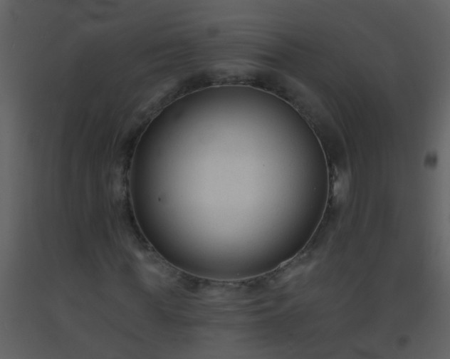 X0000093580819200710221501