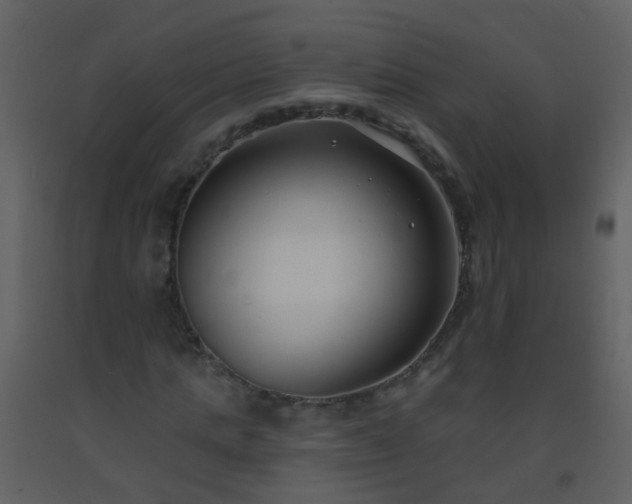 X0000093580821200710221501