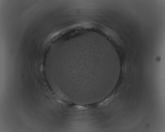 X0000093580822200710221501