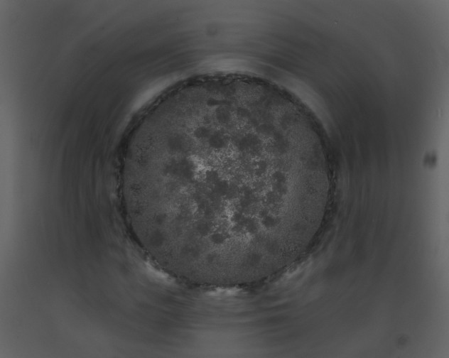 X0000093580823200710221501