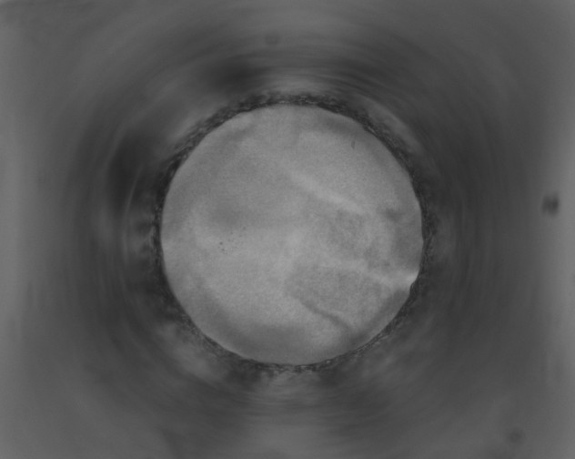 X0000093580824200710221501