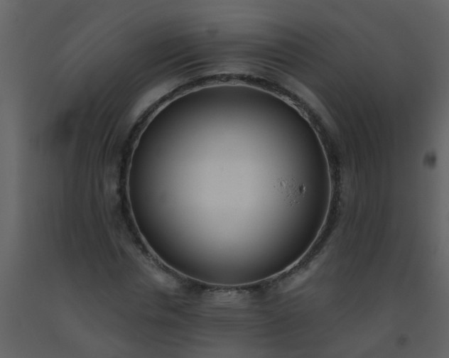 X0000093580826200710221501