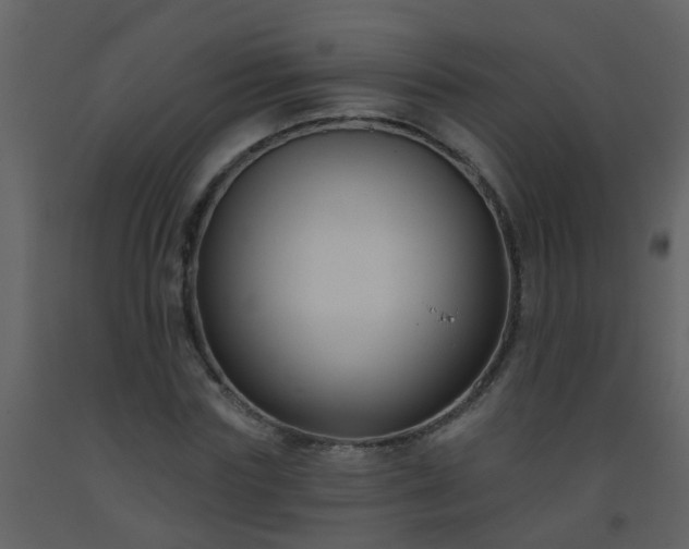 X0000093580827200710221501