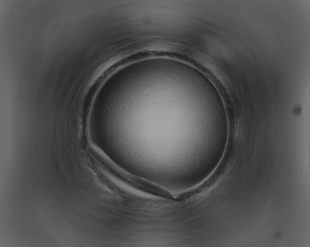 X0000093580829200710221501