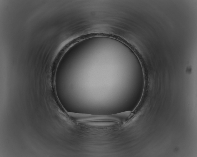 X0000093580830200710221501