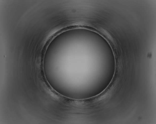 X0000093580831200710221501
