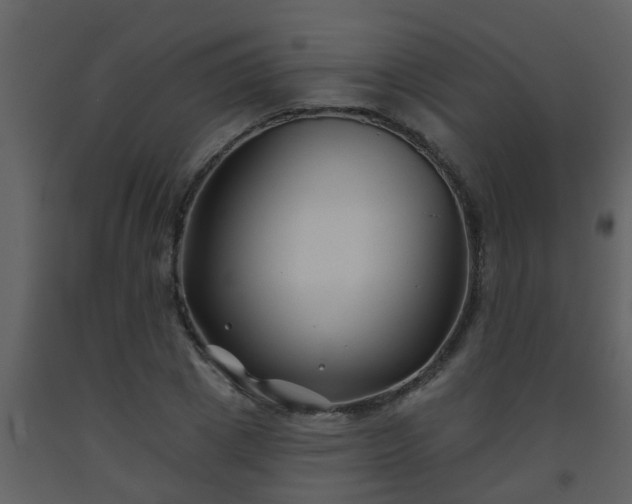 X0000093580833200710221501