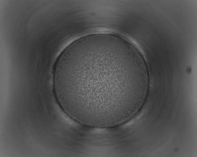 X0000093580835200710221501