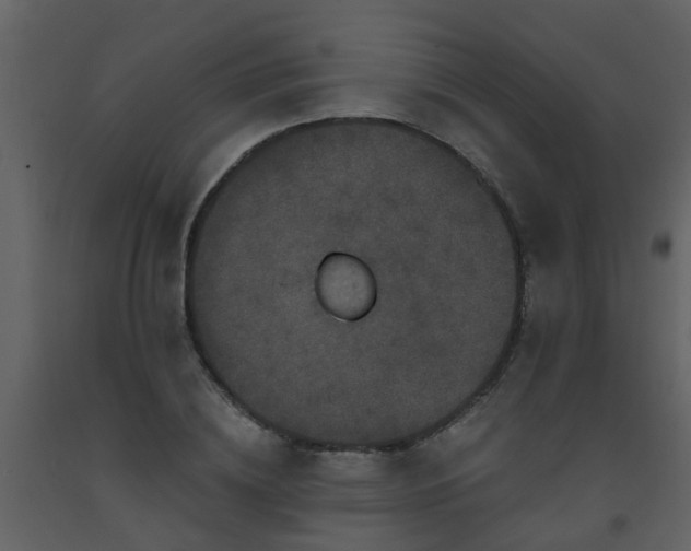X0000093580836200710221501