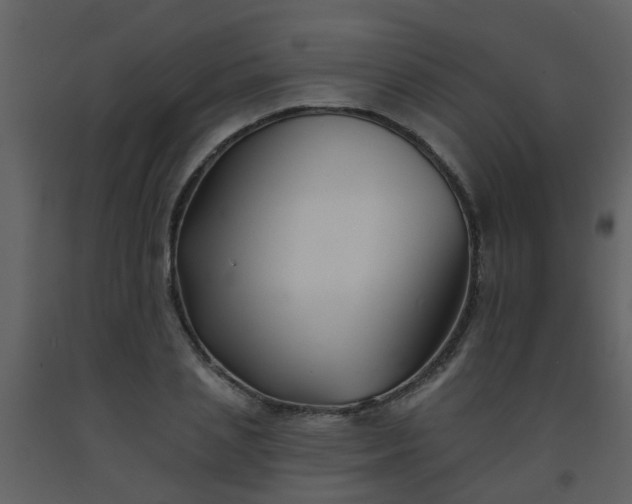 X0000093580837200710221501