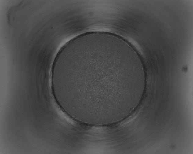 X0000093580840200710221501