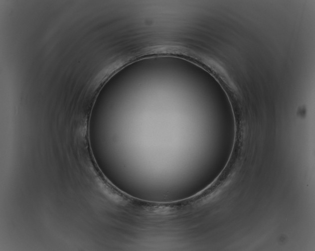 X0000093580841200710221501