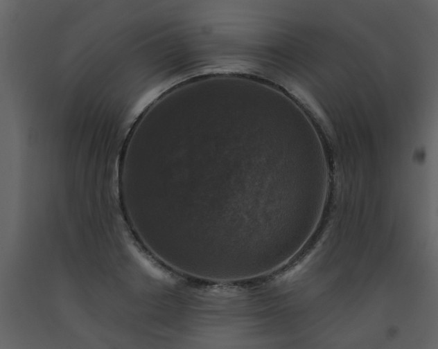 X0000093580842200710221501