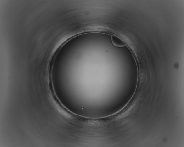 X0000093580843200710221501
