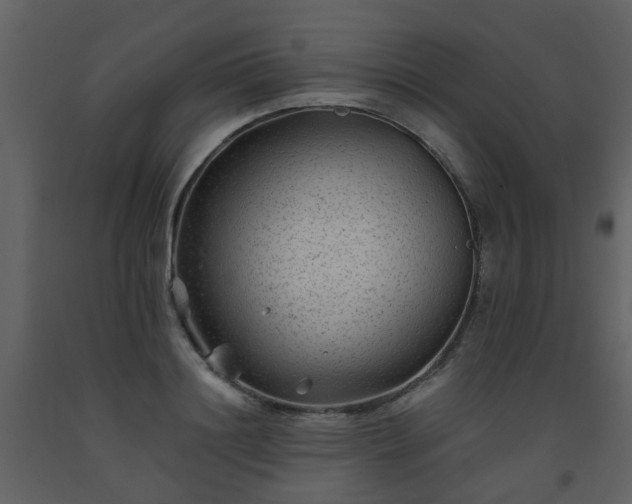 X0000093580844200710221502