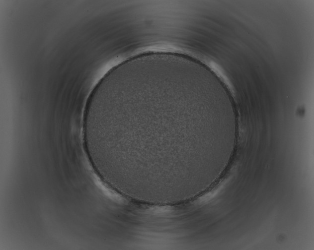 X0000093580845200710221502
