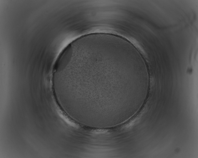 X0000093580846200710221502