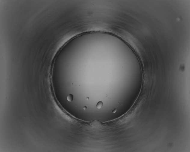 X0000093580847200710221502