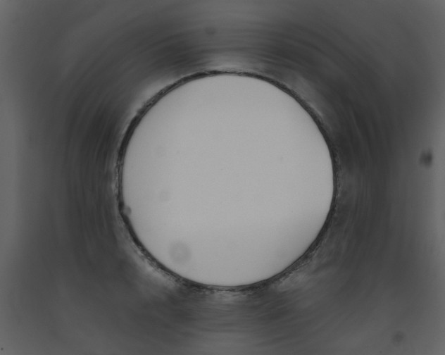 X0000093580848200710221502