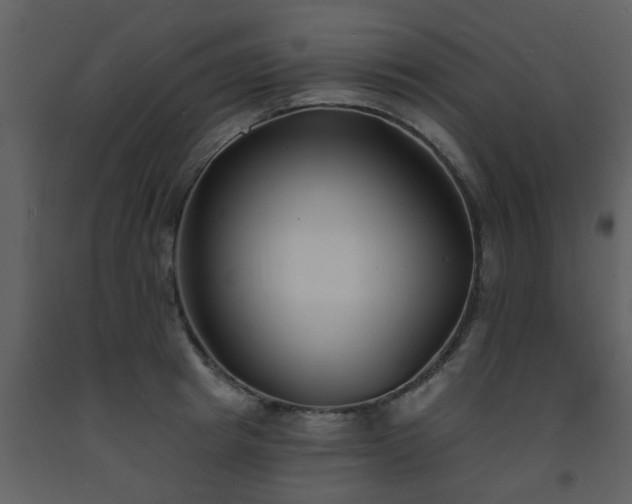X0000093580849200710221502