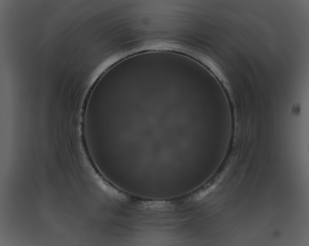 X0000093580853200710221502