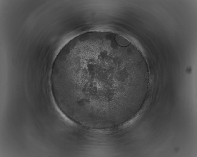 X0000093580855200710221502