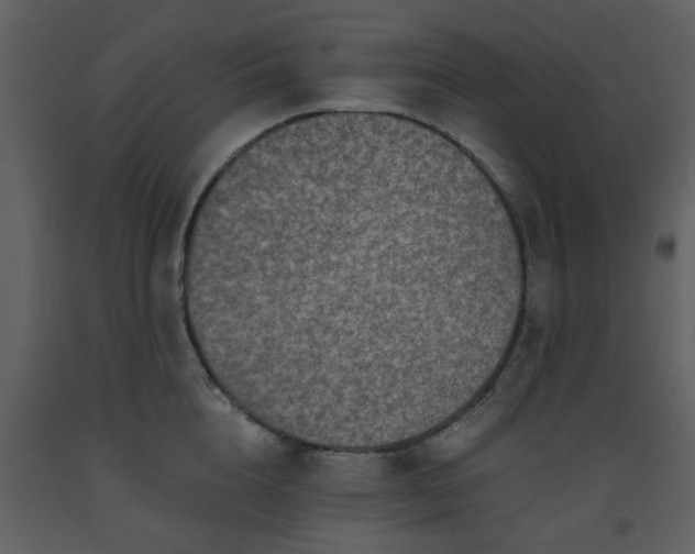 X0000093580856200710221502
