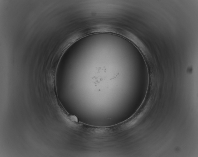 X0000093580857200710221502