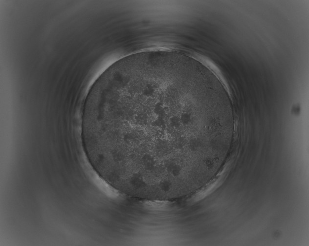 X0000093580859200710221502