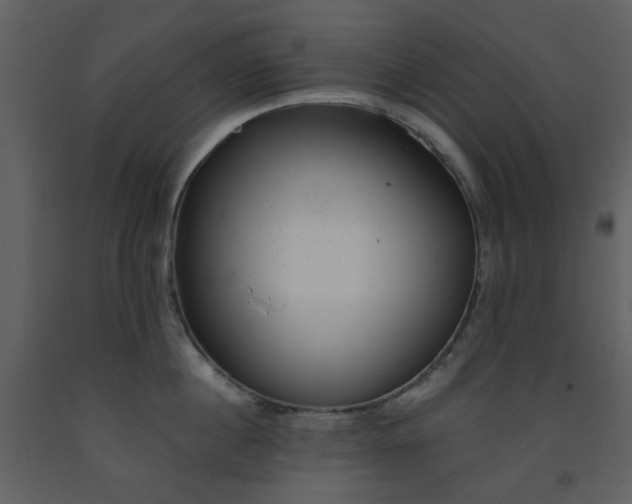 X0000093580860200710221502
