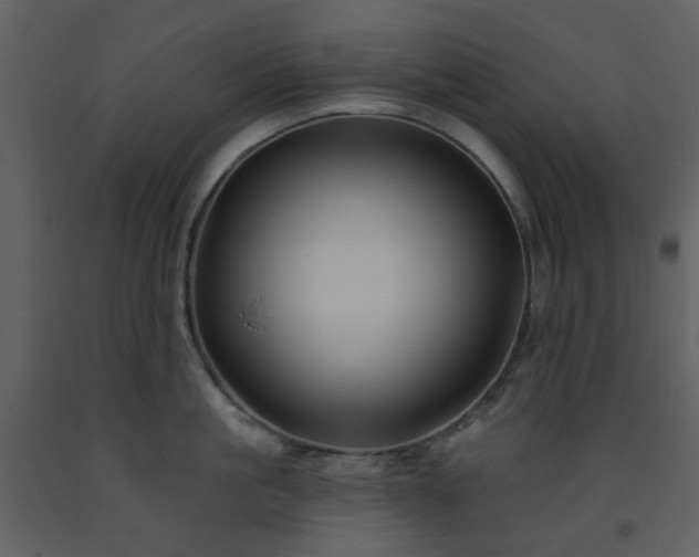 X0000093580861200710221502