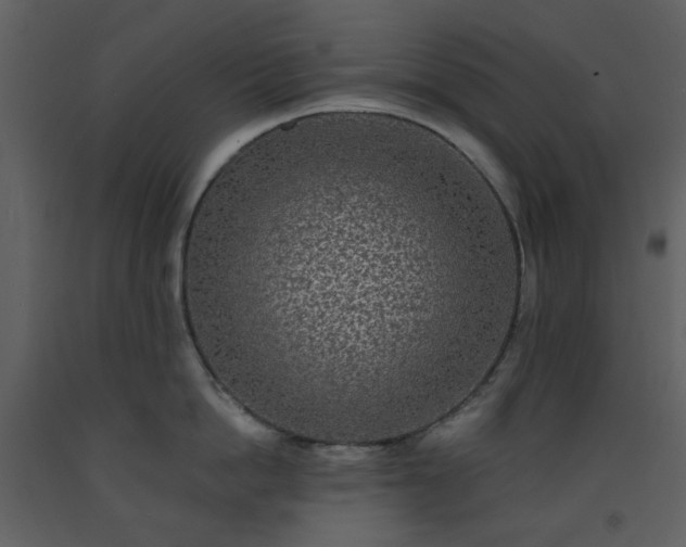 X0000093580862200710221502