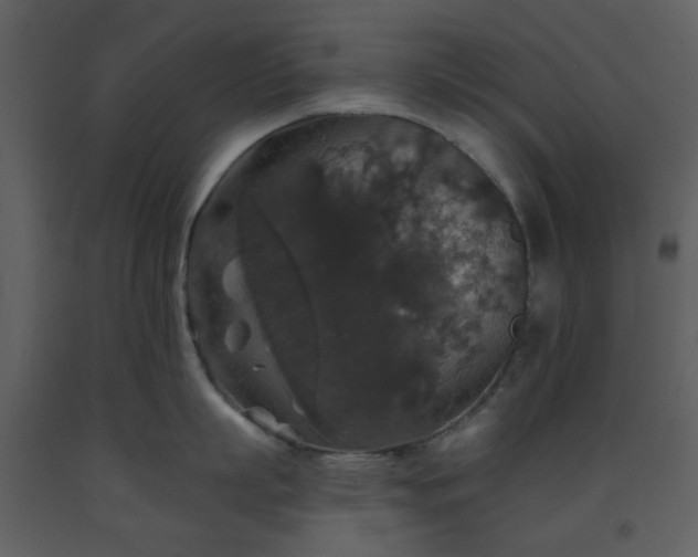 X0000093580863200710221502