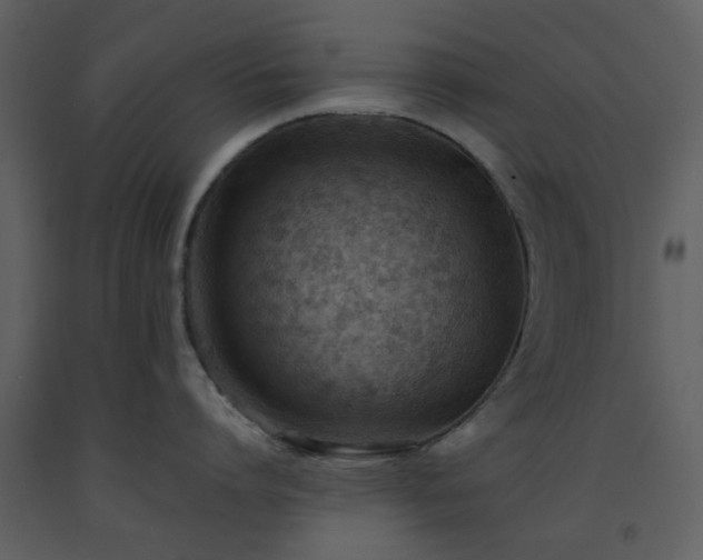 X0000093580864200710221502