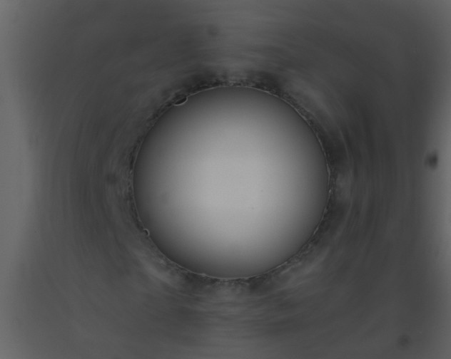 X0000093580865200710221501